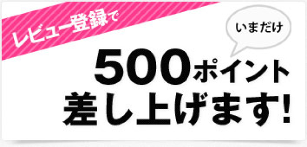 500ポイントが付与されます