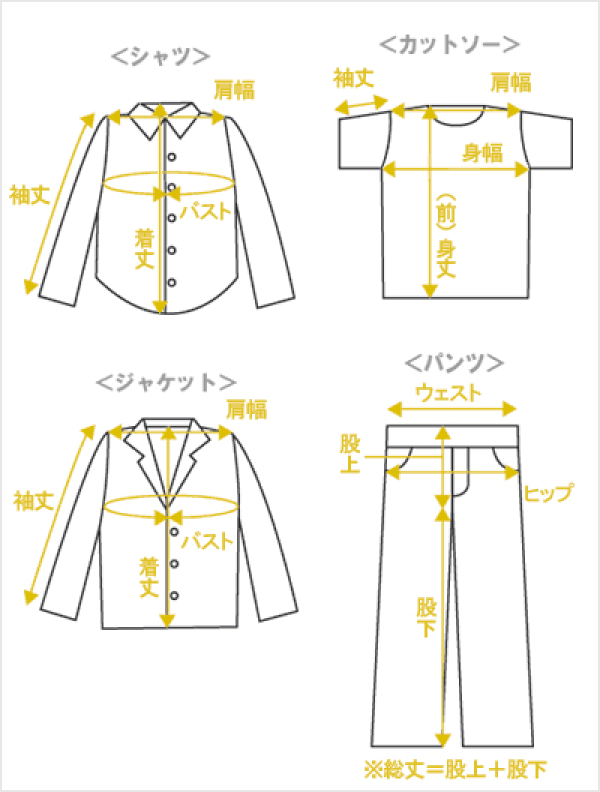 サイズ